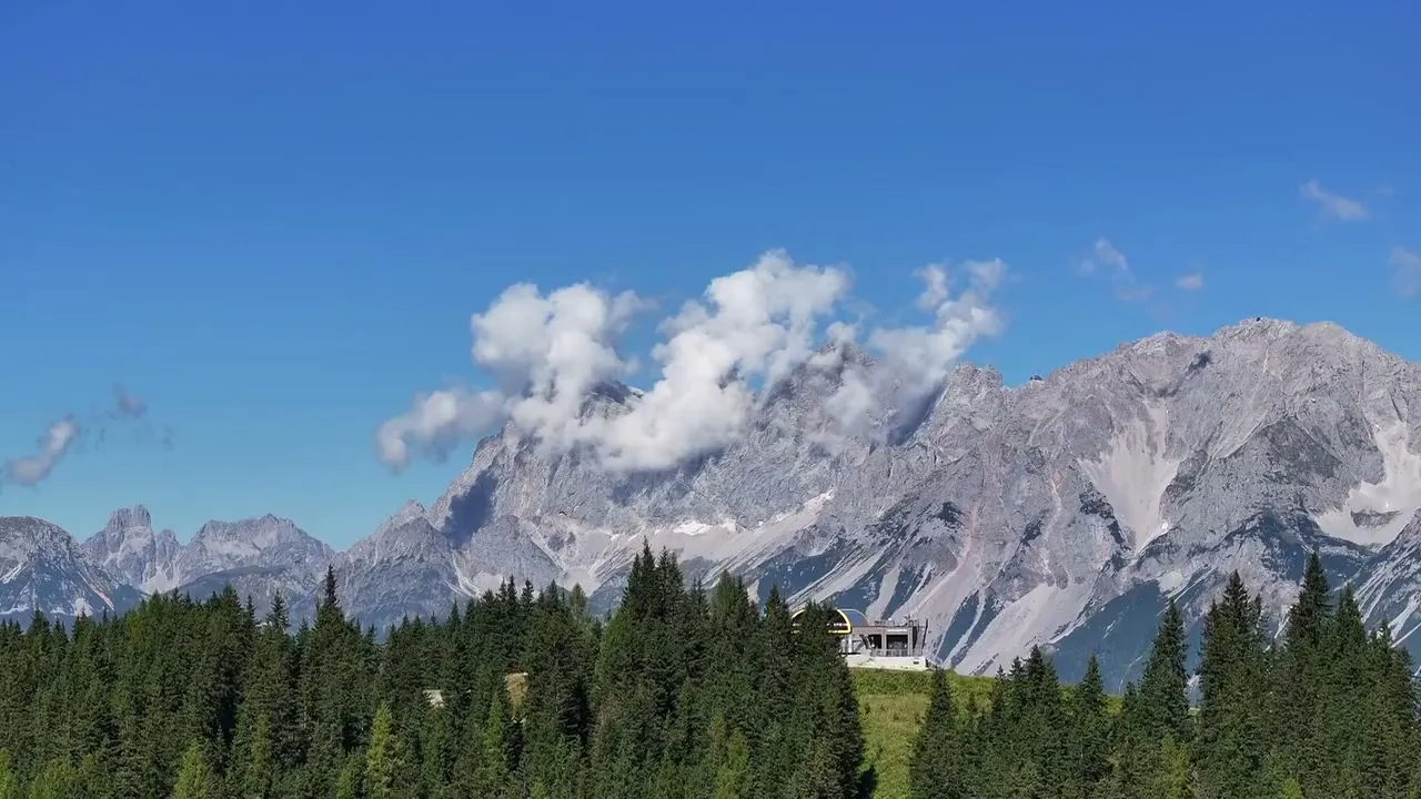 Dachsteinmassiv über Almwiesen und Wald im Sommer